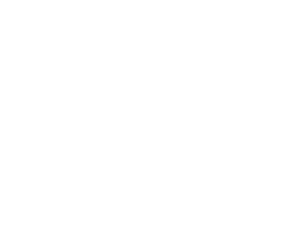 Peruvian Anteater